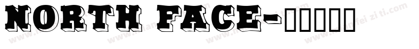 north face字体转换